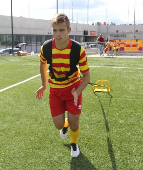 Zátěžové sáňky na silový trénink PRO - 9 kg - Image 5